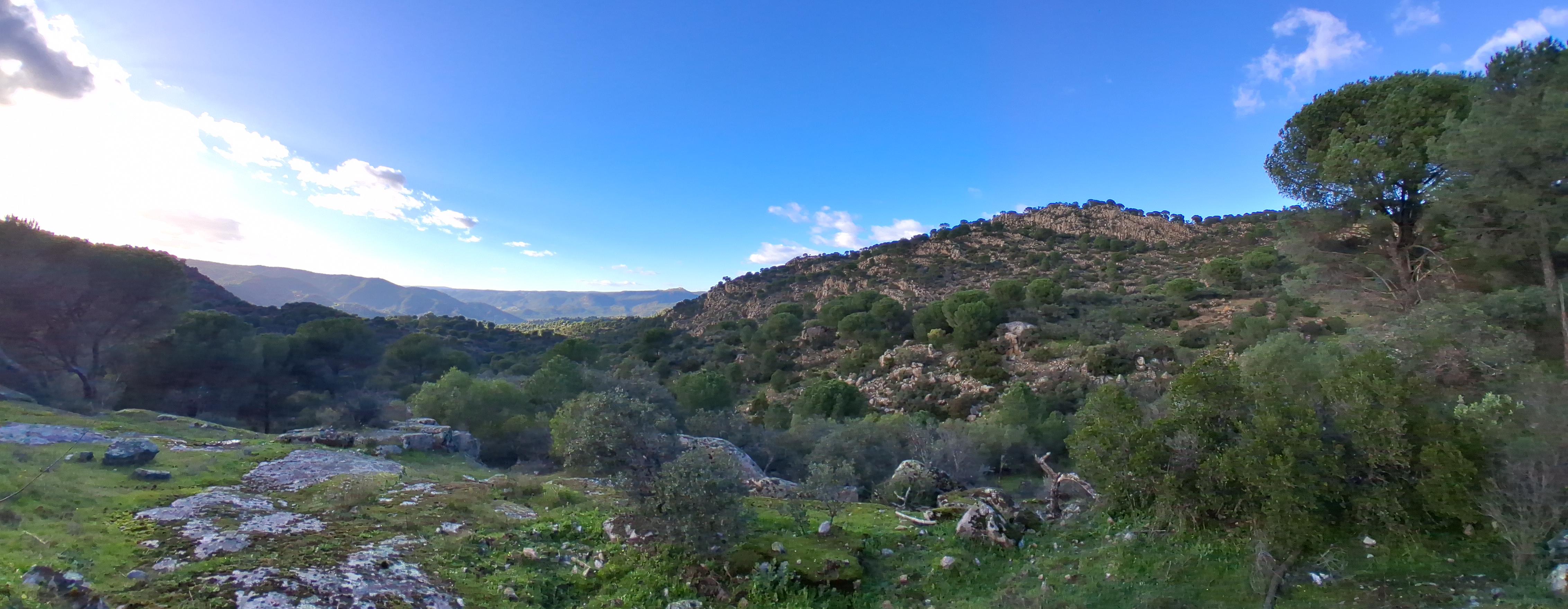 Andujar-(Mirador-El Peregrino)