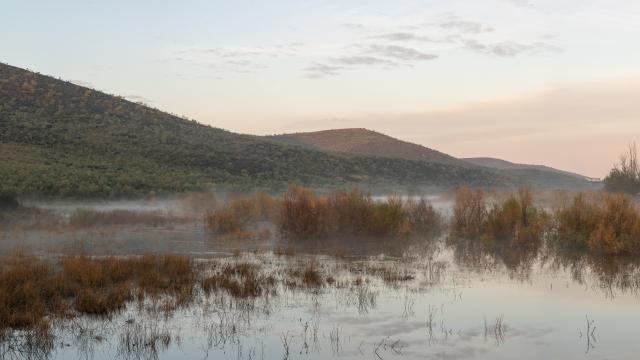 CampinaSur-(Bords Rio)