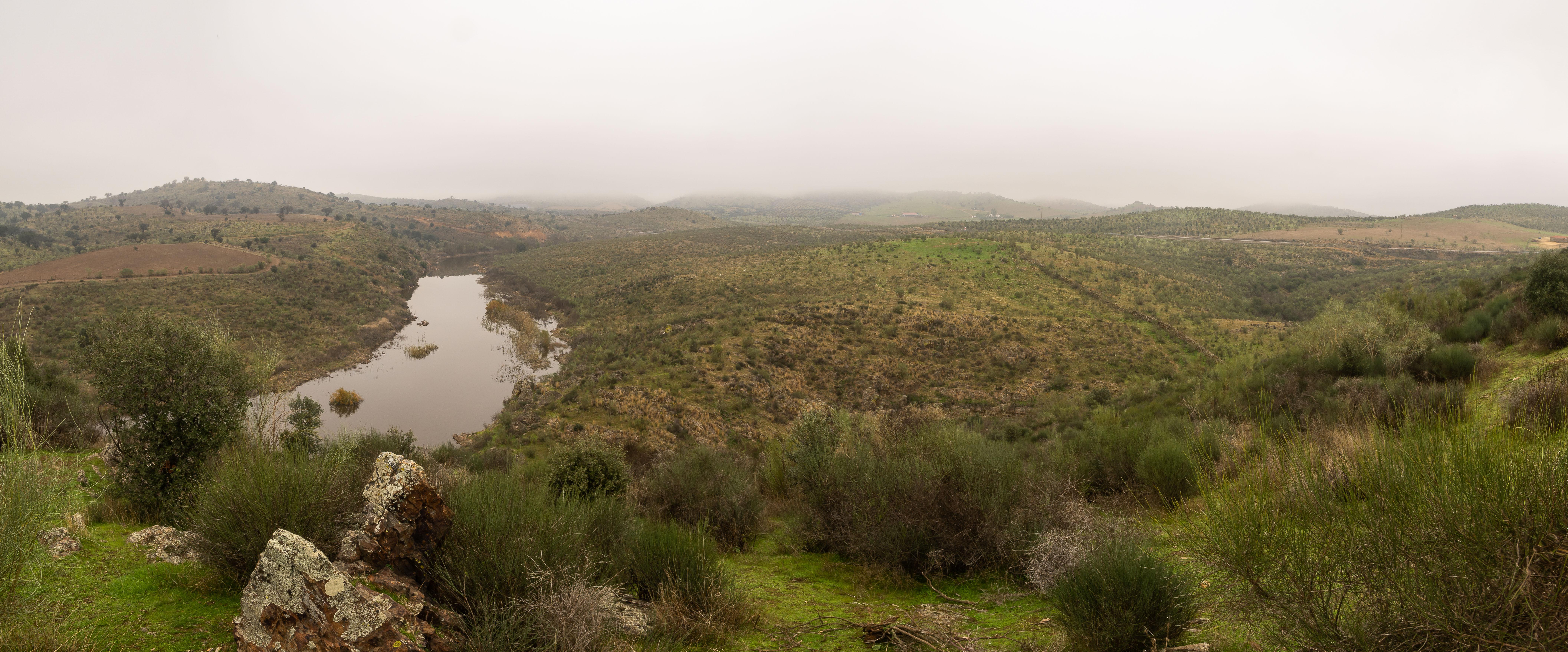 CampinaSur-(Mirador)