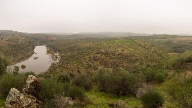 CampinaSur-(mirador) Arrière-plan