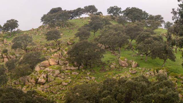 Cortijo-Los Escoriales-(vue générale)