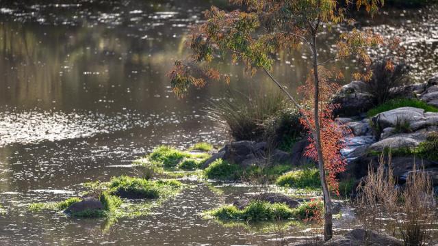 Les Paysages Environnants Gallery C1 Q A N F