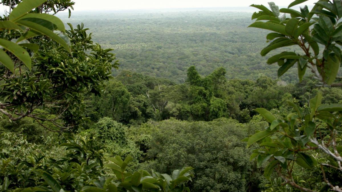 Kaw-(RNR-Trésor)