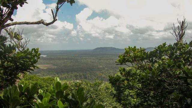 Kourou-(montagne des singes)