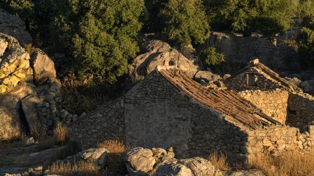 Autour des Palombes