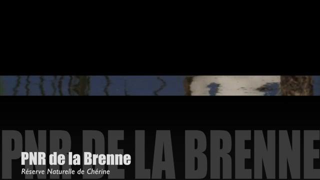 Teaser-Brenne