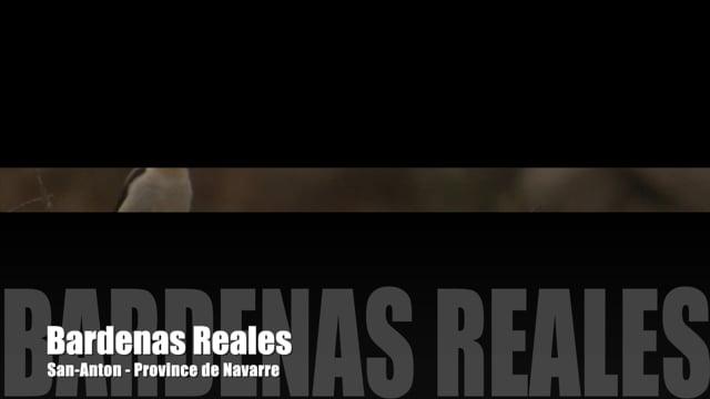 Teaser-Bardenas Reales