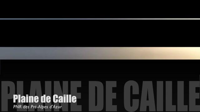 Teaser-Caille-Été