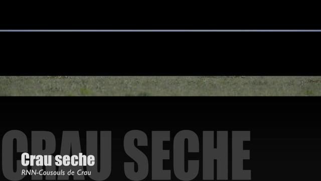 Teaser-Crau sèche