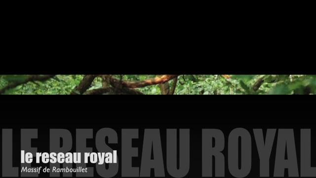 Teaser-Forêt de Rambouillet