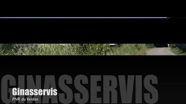 Teaser-Ginasservis