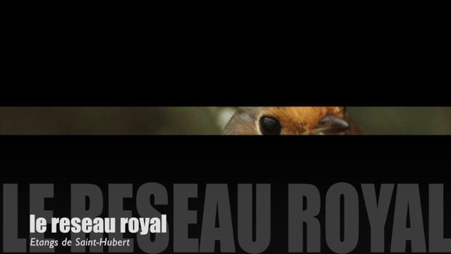 Teaser-Hivernales aux Etangs de Saint-Hubert