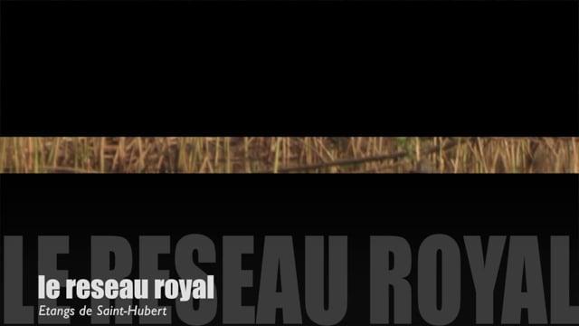 Teaser-La belle saison…