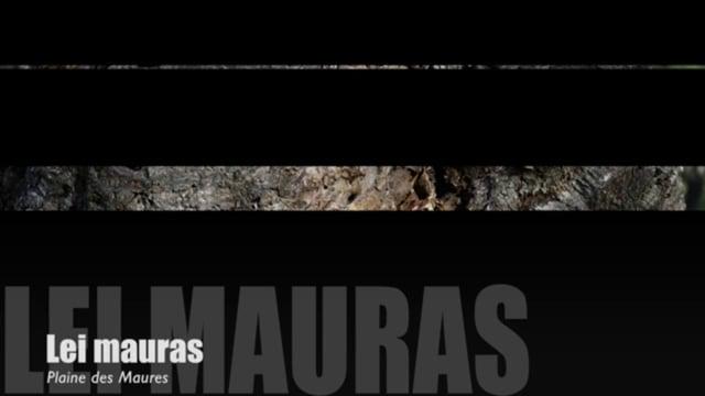 Teaser-Lei Mauras
