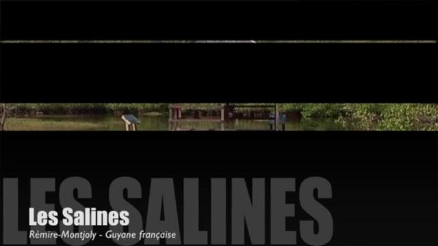 Teaser-Les Salines
