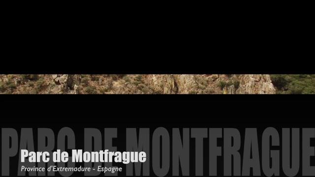 Teaser-Monfragüe