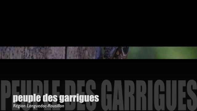 Teaser-Peuples des garrigues