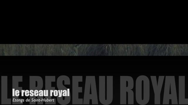 Teaser-Renouveau à Saint-Hubert