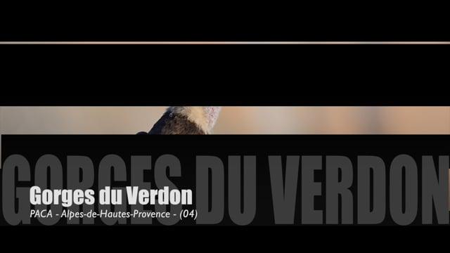 Teaser-Vivre par nature-#2