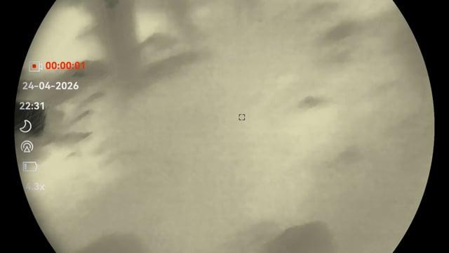 Temp-CT-260424-Lpardinus-#2