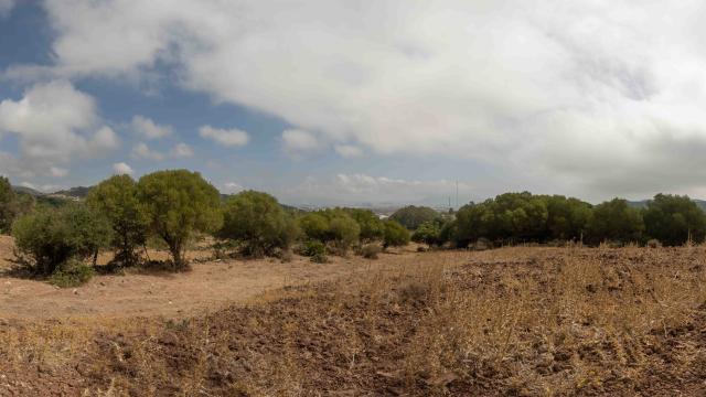 Algesira-(Mirador-Algarrobo)