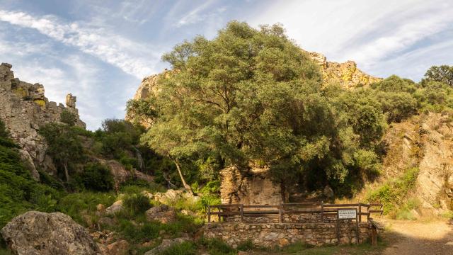 Monfrague-(Garganta del Fraile)