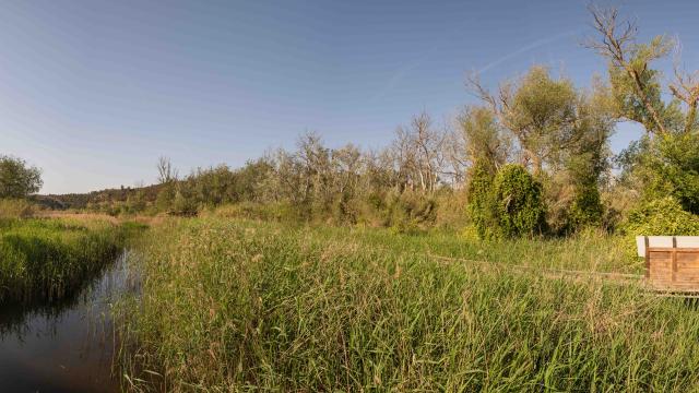 2305-0437-Panorama
