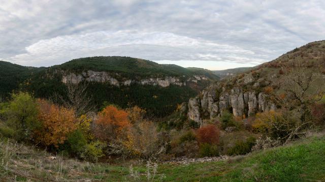 2211-1109-Panorama
