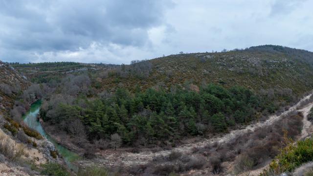 Bords de l'Artuby-(Chardan)