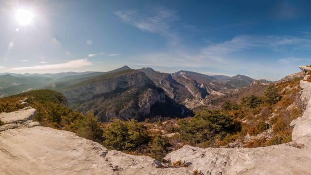 Rougon-(Volières)