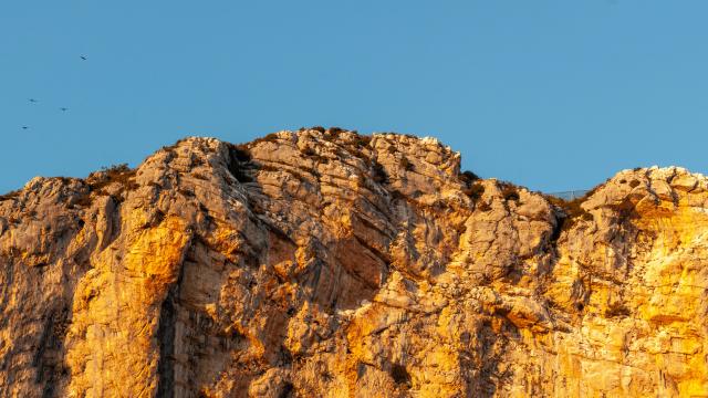 Rougon-(Volières-bas)