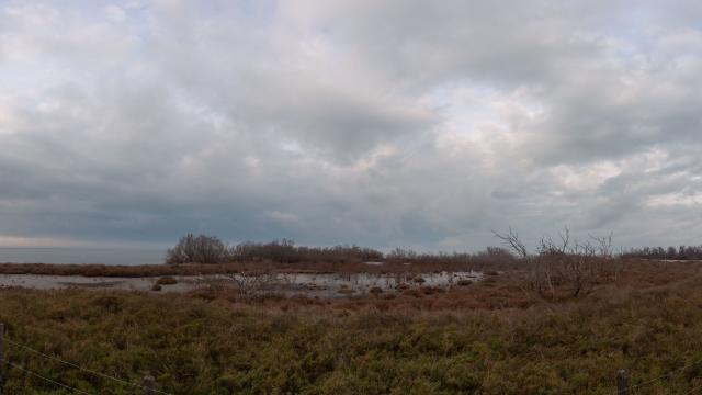 2203-2101-Panorama