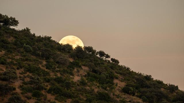 Vue-Andalousie