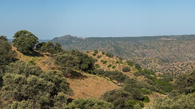 Vue-Andalousie-Panorama
