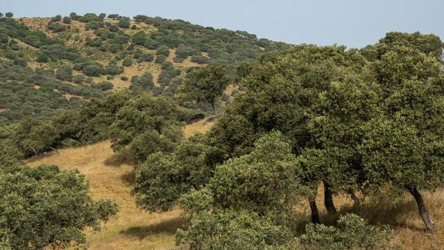 Vue-Andalousie