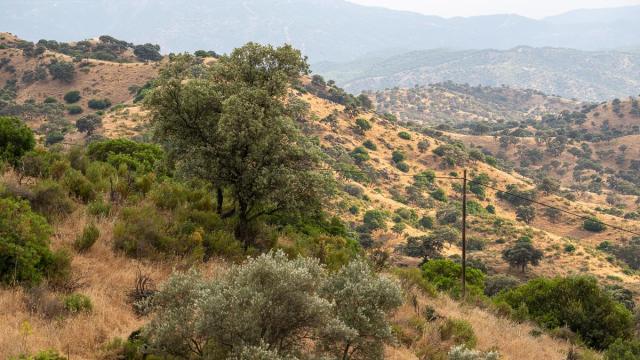 Vue-Andalousie