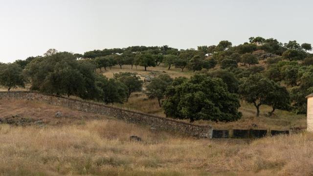 Vue-Andalousie-Panorama