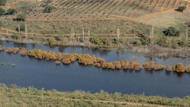 Campina-Sur Arrière-plan