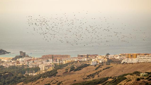 Estrecho de Gibraltar