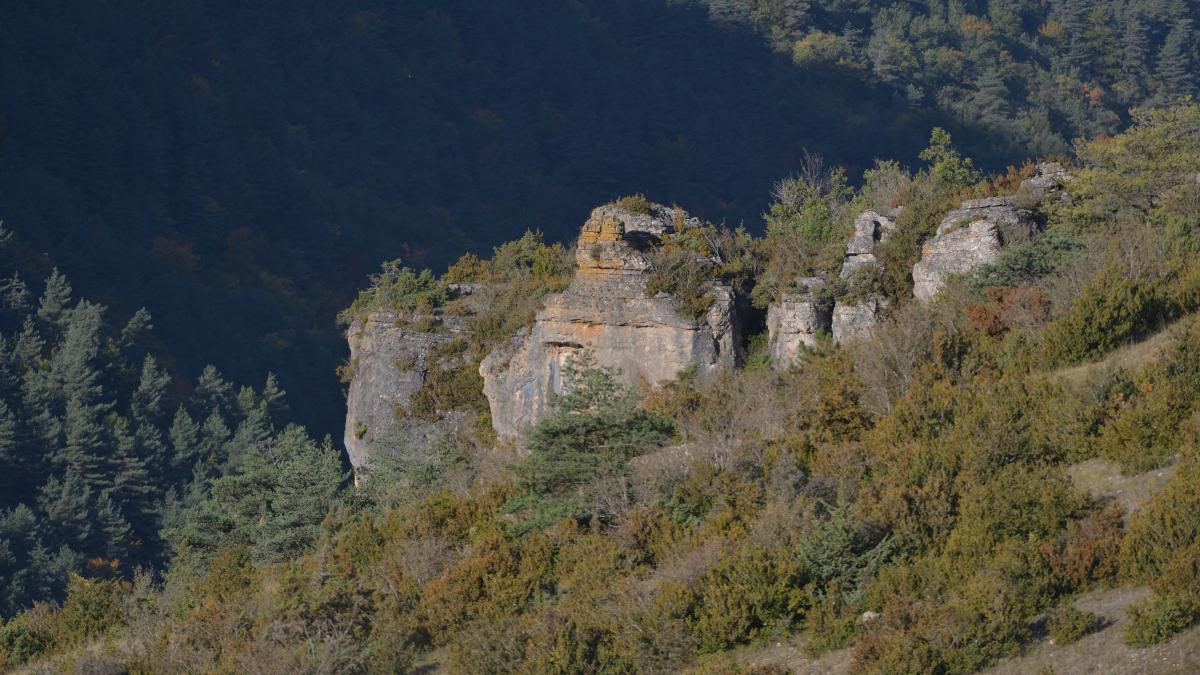 Les Grands-Causses