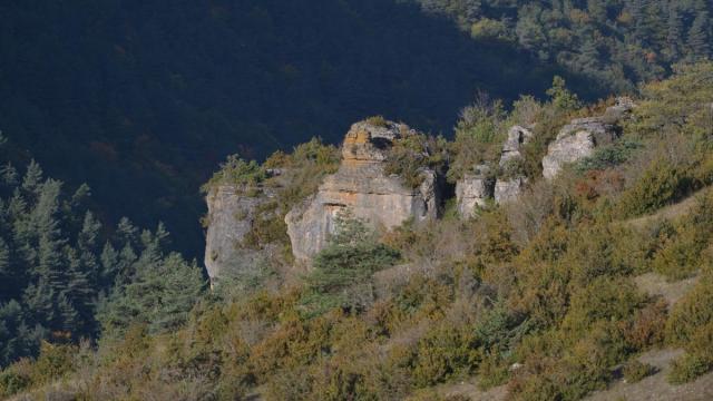 Les Grands-Causses Arrière-plan