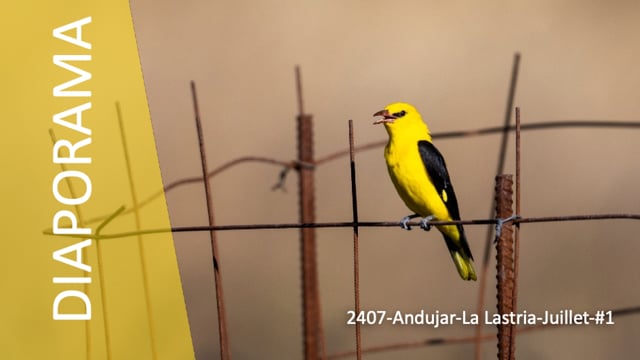 DP2407-Andujar-La Lastria-Juillet-#1