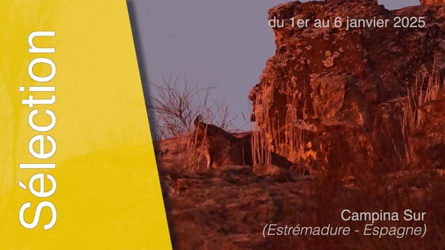 2501-Sélection-N°5-janvier