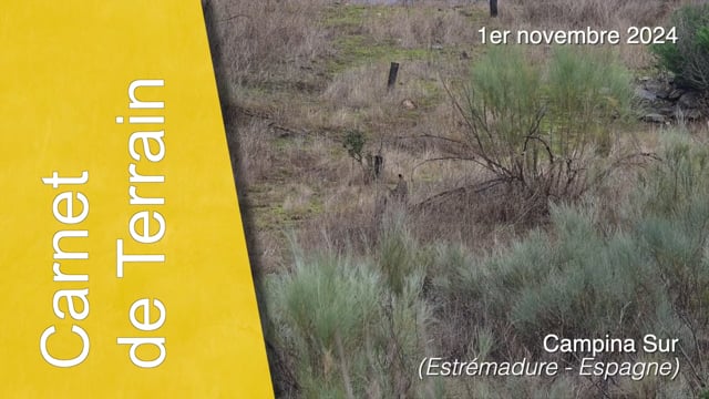 Carnet de Terrain-241101