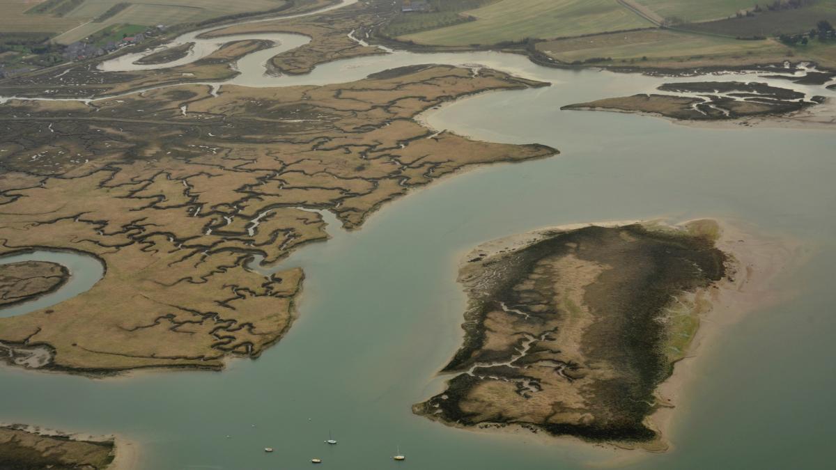OBS-Bretagne Arrière-plan